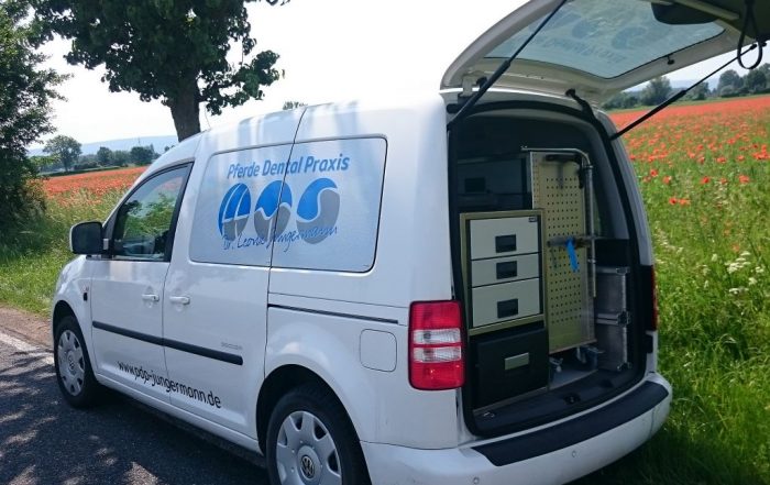Praxiscaddy im Grünen mit offenem Kofferraum